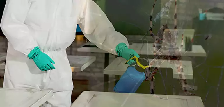 Why Buyers Still Want Homes With Pest Infestations in Gilbert, AZ?