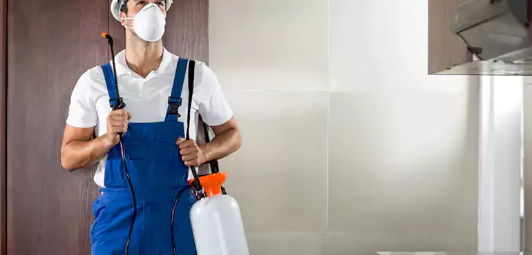 Why Gilbert Homeowners Choose Us When Pests Make Selling Difficult