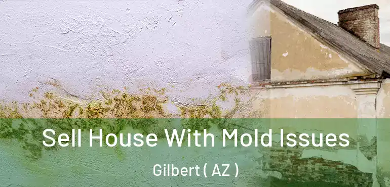  Sell House With Mold Issues Gilbert ( AZ )